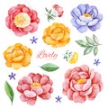 Handpainted romantic set with watercolor peonies, flowers, roses and leaves Royalty Free Stock Photo