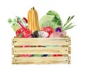 Handpainted watercolor clipart with fresh vegetables in box