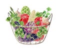 Handpainted watercolor clipart with fresh vegetables in box