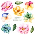 Handpainted watercolor flowers and leaves. Royalty Free Stock Photo