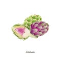 Handpainted watercolor poster with artichokes