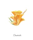 Handpainted watercolor poster with chanterelle