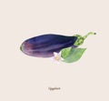 Handpainted watercolor poster with eggplant aubergine