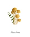 Handpainted watercolor poster with honey fungus