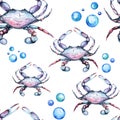 Watercolor Bright Paterrn with Blue King Crabs and Bubbles