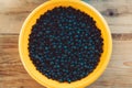 Handpicked aronia berries