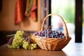 handpicked grapes in a wicker basket near a tasting table