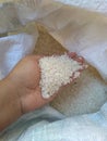 Handpicking grains of rice from the sack.