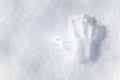 Handprint in the snow