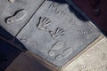 handprints of Matt Damon in Hollywood in the concrete of Chinese Theatre\'s forecourts.