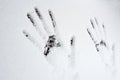 Handprints in the snow