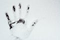 Handprints in the snow