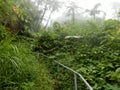 Handrail on the path near the summit of Mount Scenery in Saba, Dutch Caribbean