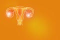 Handrawn illustration of human Uterus on positive orange background.