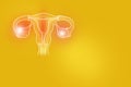 Handrawn illustration of human Uterus on yellow background.