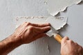 Scraping off old paint from a wall surface in a home renovation project during daylight hours Royalty Free Stock Photo