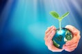 Hands adult business Team Work Cupping young Plant and seeding Nurture grow Environmental and reduce global warming help earth, Royalty Free Stock Photo