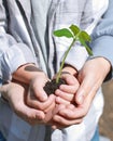 The hands of an adult and a child hold a plant with soil for planting in a pot or in a bed. Royalty Free Stock Photo