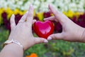 Hands for adults and children with red heart, health care, love, organ donation Royalty Free Stock Photo