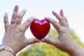 Hands for adults and children with red heart, health care, love, organ donation Royalty Free Stock Photo