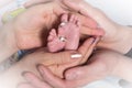 Hands of adults hold small baby feet Royalty Free Stock Photo