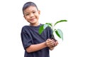 Hands Asian child boy holding a little green plant with soil. Growing tree. Royalty Free Stock Photo