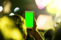 Hands of audience crowd people taking photo with mobile smart phone with green screen in party concert Royalty Free Stock Photo