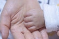 Hands of babies and parents Royalty Free Stock Photo