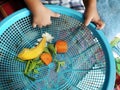 Hands of the baby playing with piece of vegetable in the blue basket in the kitchen with parents Family House Bangkok Thailand