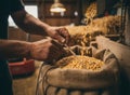 Hands bagging corn kernels in a burlap sack as kernels pour from a grain chute in a rustic farm setting Royalty Free Stock Photo