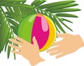 Hands, ball and branch of palm