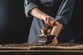 Hands baristas in a dark apron grind on a manual grinder fragrant coffee beans. Selection of fresh coffee for espresso Royalty Free Stock Photo