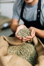 Hands of barrista putting green unroasted coffee beans into sack at factory