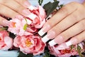 Hands with beautiful long artificial french manicured nails Royalty Free Stock Photo