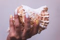 Hands with beautiful manicured nails and sea shell Royalty Free Stock Photo