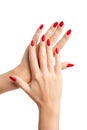 Hands of a beautiful well-groomed woman with feminine red nails on a white background. Manicure Royalty Free Stock Photo