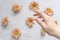 Hands of a beautiful woman on a white background. Delicate palm with natural manicure, clean skin. Light white nails. Hand Care Royalty Free Stock Photo