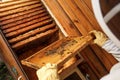 Hands of beekeeper pulls out from the hive a wooden frame with honeycomb. Collect honey. Beekeeping concept Royalty Free Stock Photo