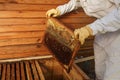 Hands of beekeeper pulls out from the hive a wooden frame with honeycomb. Collect honey. Beekeeping concept Royalty Free Stock Photo