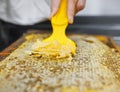 Hands, beekeeper or uncapping tool in honeycomb extraction, organic harvesting or healthy food collection. Zoom, worker