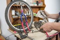 Hands of bicycle mechanic cleaning chainring bike Royalty Free Stock Photo