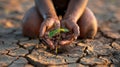 Hands of a black children with drops of clear water dripping from them on a small plant growing on dry ground. Royalty Free Stock Photo