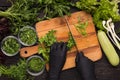 Hands in black disposable gloves cutting parsley