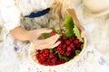 The hands of a blond teenage girl hold a full little basket of r Royalty Free Stock Photo