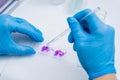 Hands in blue glove holding glass histology slides