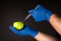 Hands in blue gloves, injecting the fluid from the syringe into the fruit, genetically modified engineering, GMO