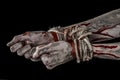Hands bound,bloody hands, mud, rope, on a black background, isolated, kidnapping, zombie, demon
