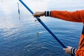 hands of a boy who holds in his hands a fishing rod with a fish caught on the hook Royalty Free Stock Photo