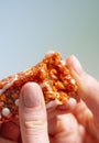 Hands break red granola bar macro. Protein snack close-up Royalty Free Stock Photo
