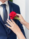 Bride corrects boutonniere on groom`s jacket before wedding cere Royalty Free Stock Photo